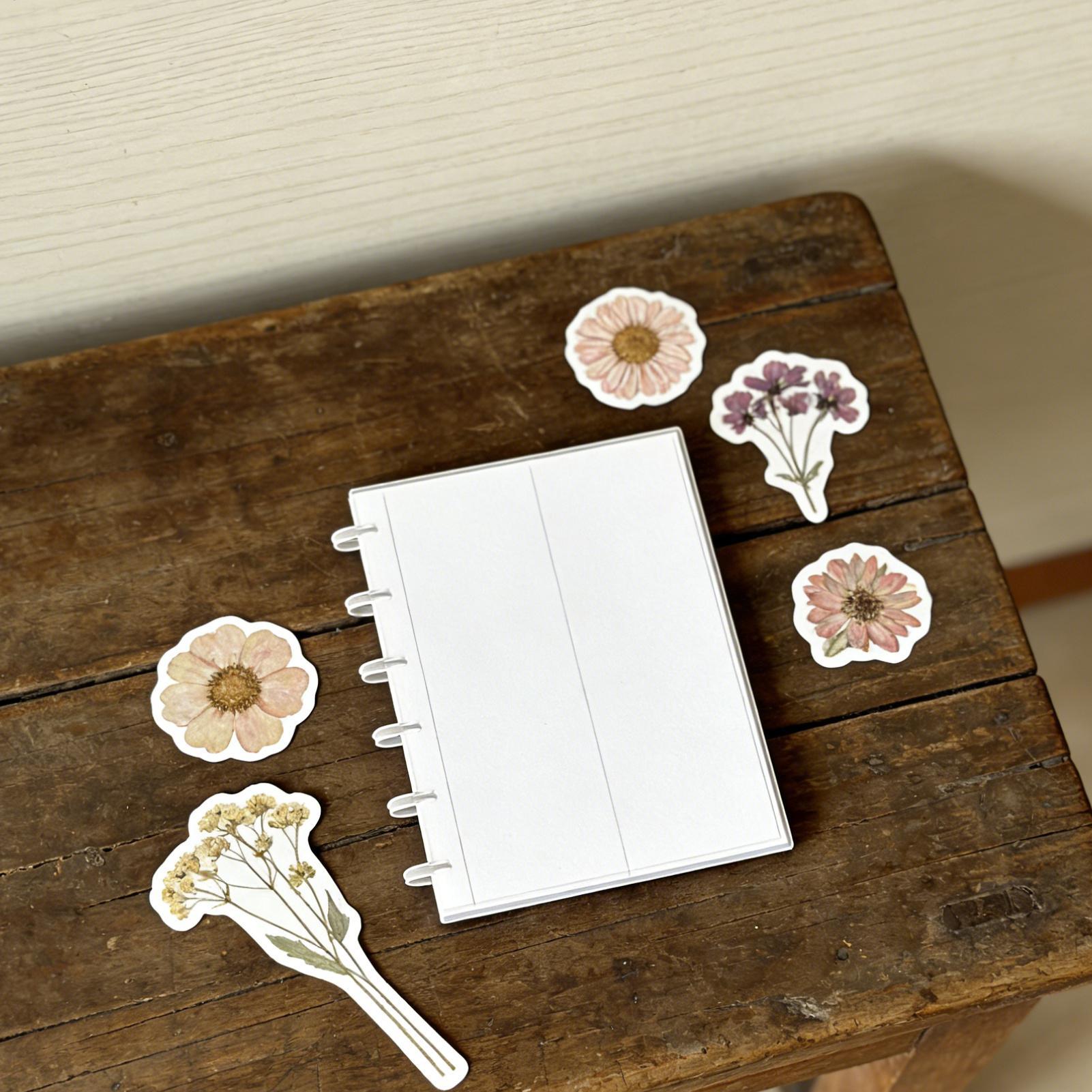 Fotoalbum mit herunterziehbare – Binding Comb Plastic Bewertung und Preis